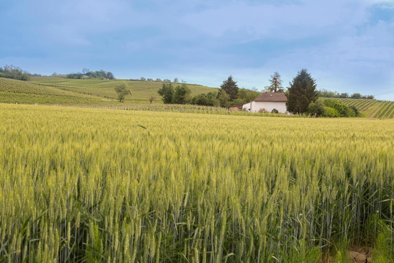 White Tail Organic Farm Villa Orsara Bormida Exterior photo